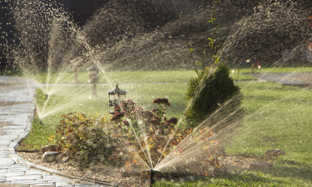 Common Springtime Plumbing Issues To Watch Out For