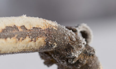 How The Winter Affects Your Sewer System