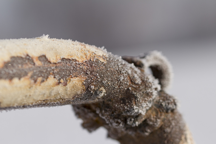 How The Winter Affects Your Sewer System