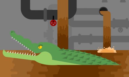 Can Animals Really Live in Sewer Pipes?