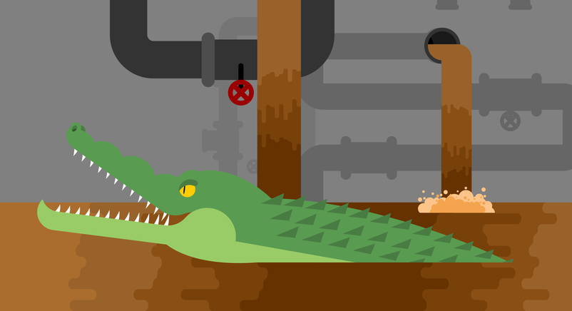 Can Animals Really Live in Sewer Pipes?