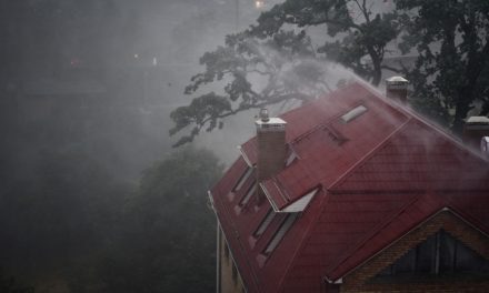 4 Important Ways to Protect Your Septic Tank from Hurricanes