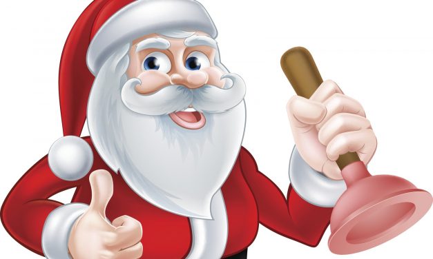 Prepare Your Drains For The Holidays